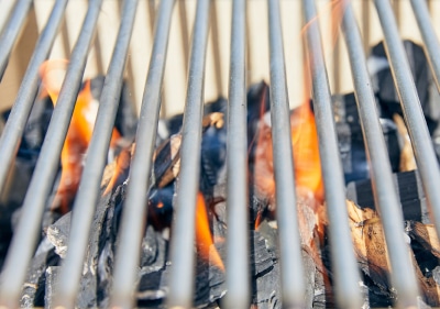 Everhot Grill A close-up of grilling on the Everhot